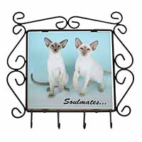 Siamese Cats 