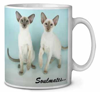 Siamese Cats 