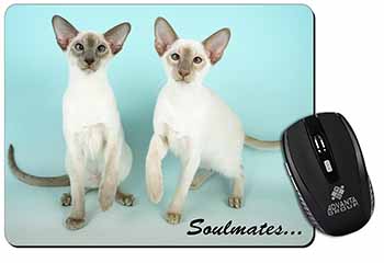 Siamese Cats 