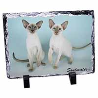 Siamese Cats 