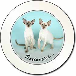 Siamese Cats 