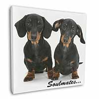 Dachshund Dogs 