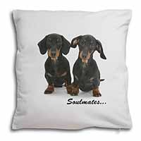 Dachshund Dogs 