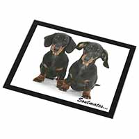 Dachshund Dogs 