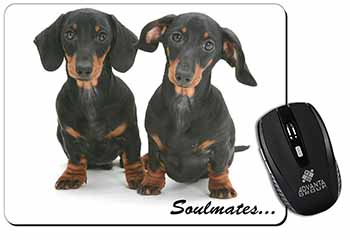 Dachshund Dogs 