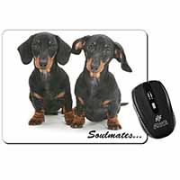 Dachshund Dogs 