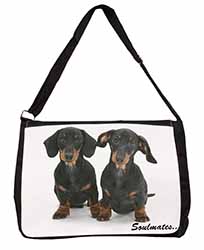 Dachshund Dogs 