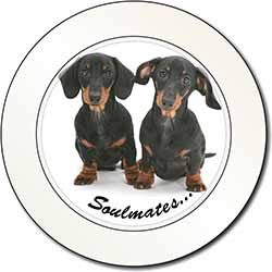 Dachshund Dogs 