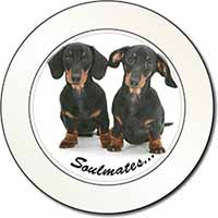 Dachshund Dogs 