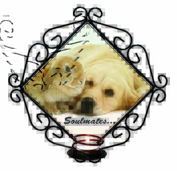 Goldie and Rabbit 