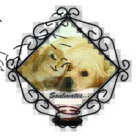 Goldie and Rabbit 