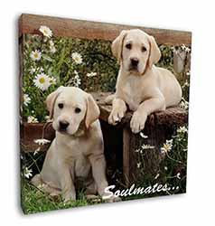 Yellow Labrador Puppy Dogs 