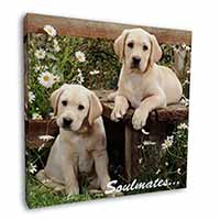 Yellow Labrador Puppy Dogs 