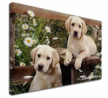 Yellow Labrador Puppy Dogs 