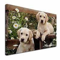 Yellow Labrador Puppy Dogs 