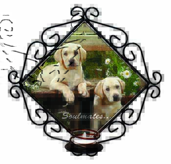 Yellow Labrador Puppy Dogs 