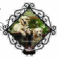 Yellow Labrador Puppy Dogs 