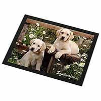 Yellow Labrador Puppy Dogs 