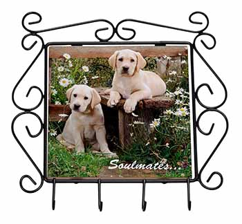 Yellow Labrador Puppy Dogs 