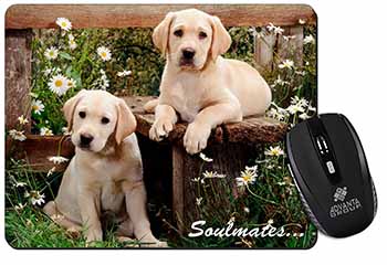 Yellow Labrador Puppy Dogs 