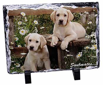 Yellow Labrador Puppy Dogs 