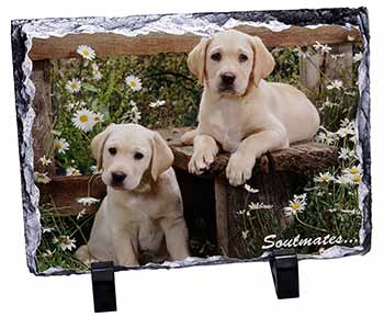 Yellow Labrador Puppy Dogs 