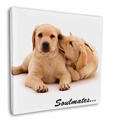 Yellow Labrador Dogs 