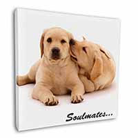 Yellow Labrador Dogs 