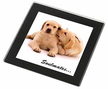 Yellow Labrador Dogs 