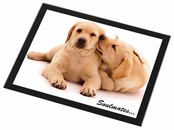 Yellow Labrador Dogs 