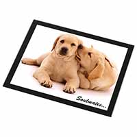 Yellow Labrador Dogs 