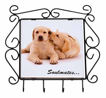 Yellow Labrador Dogs 