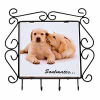 Yellow Labrador Dogs 