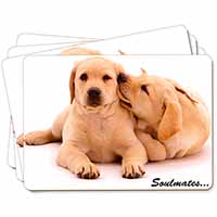 Yellow Labrador Dogs 