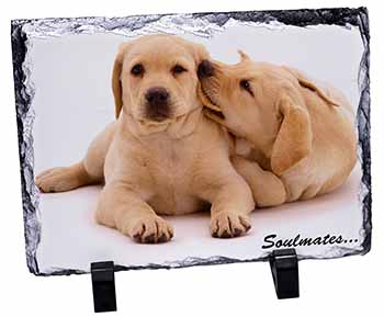 Yellow Labrador Dogs 