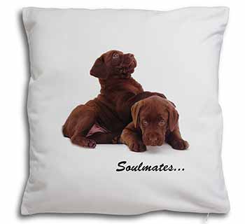 Chocolate Labrador Dogs 