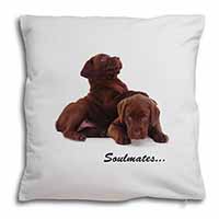 Chocolate Labrador Dogs 
