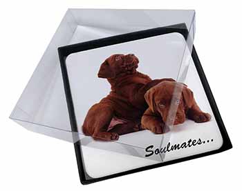 4x Chocolate Labrador Dogs 