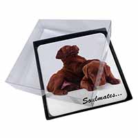 4x Chocolate Labrador Dogs 
