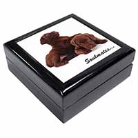 Chocolate Labrador Dogs 