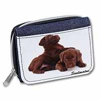 Chocolate Labrador Dogs 