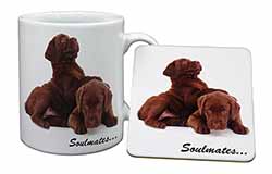 Chocolate Labrador Dogs 