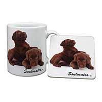Chocolate Labrador Dogs 