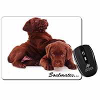 Chocolate Labrador Dogs 
