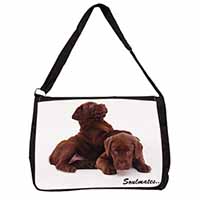 Chocolate Labrador Dogs 