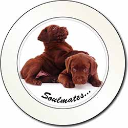 Chocolate Labrador Dogs 