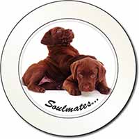 Chocolate Labrador Dogs 