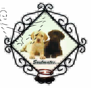 Yellow+Chocolate Labrador Puppies 