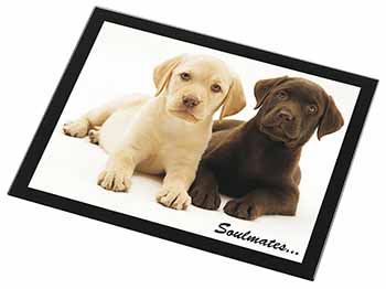 Yellow+Chocolate Labrador Puppies 