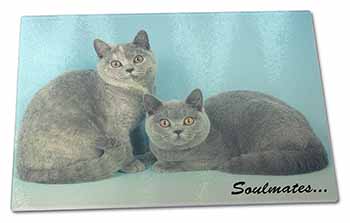 Large Glass Cutting Chopping Board British Blue-Cream Cats 